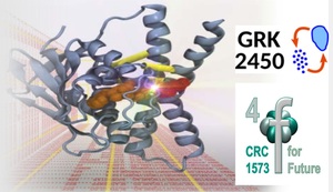 Quantum Chemistry Workshop 